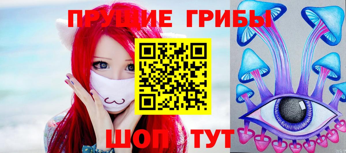 Гуково  Псилоцибиновые грибы Psilocybe  Вход с VPN 